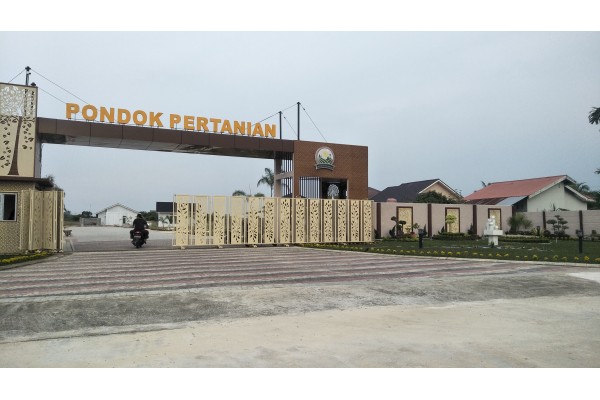 Settha Living (3)